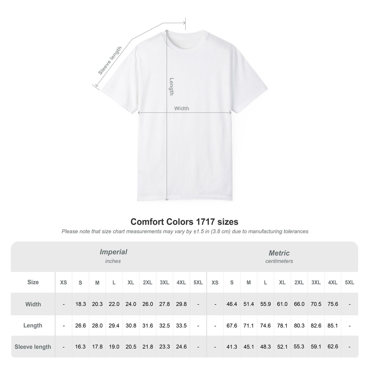 Unisex Garment-Dyed T-shirt embroidered